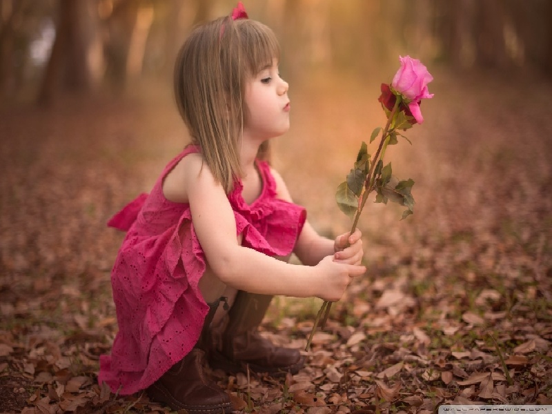 试管之路养囊，lelabo试管套盒